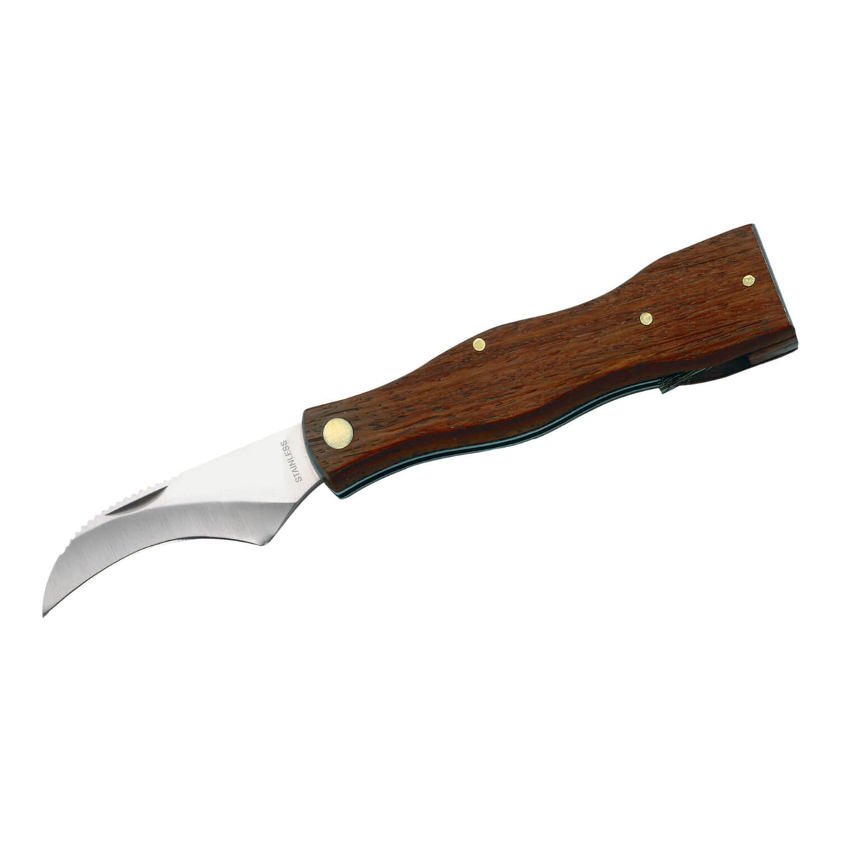 Das Herbertz Pilzmesser hat eine 7 cm lange gebogene Klinge aus rostfreiem Stahl, eine Bürste und einen Holzgriff.