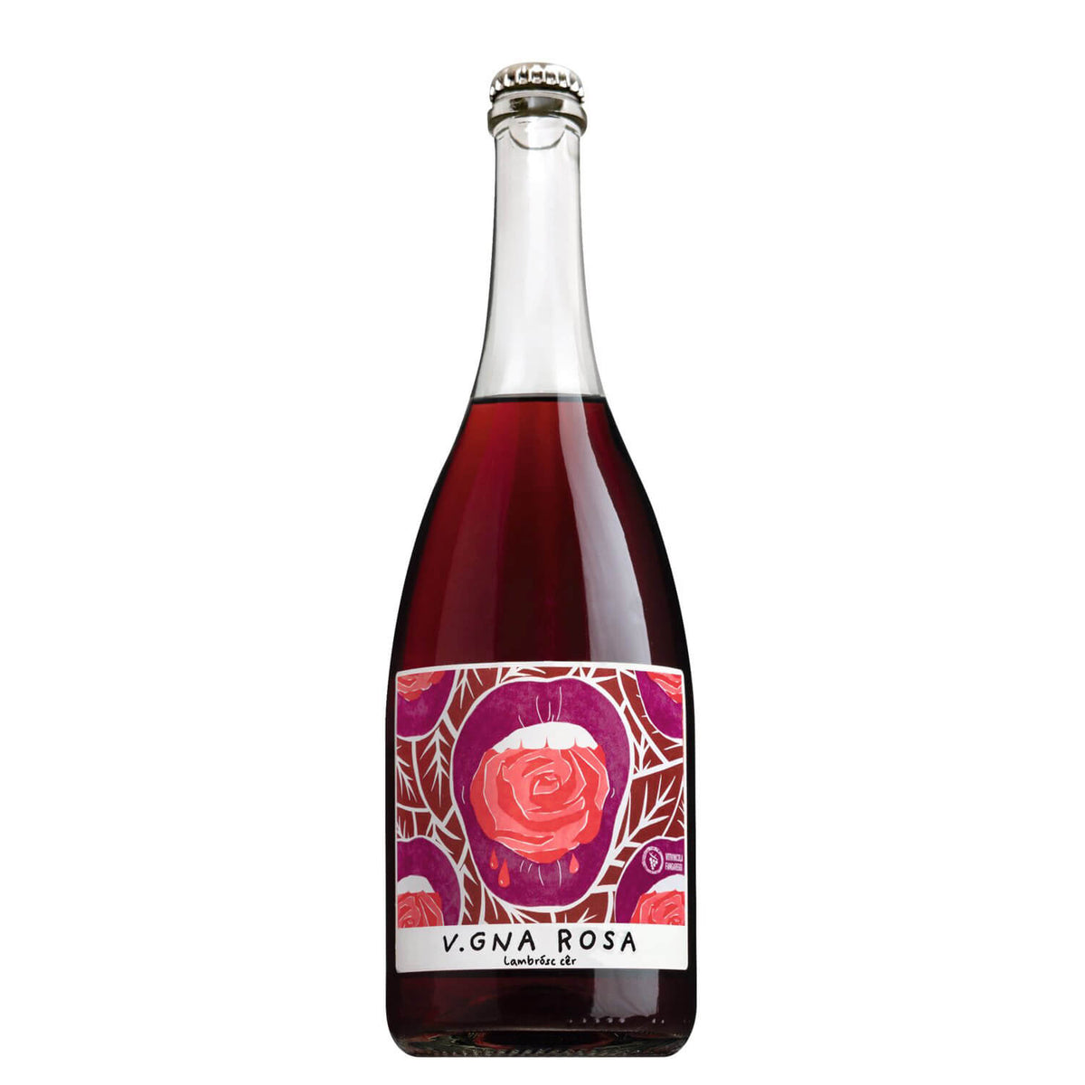 Eine Flasche Lambrusco Rosato, Rosé Perlwein aus der Emilia Romagna von Vitivinicola Fangareggi mit einem Etikett.