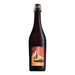 Eine dunkle Glasflasche Cantina Paltrinieri Lambrusco dell'Emilia IGT Solco, halbtrocken, 0,75 l, mit einem Korken und einem orange-gelben Etikett.