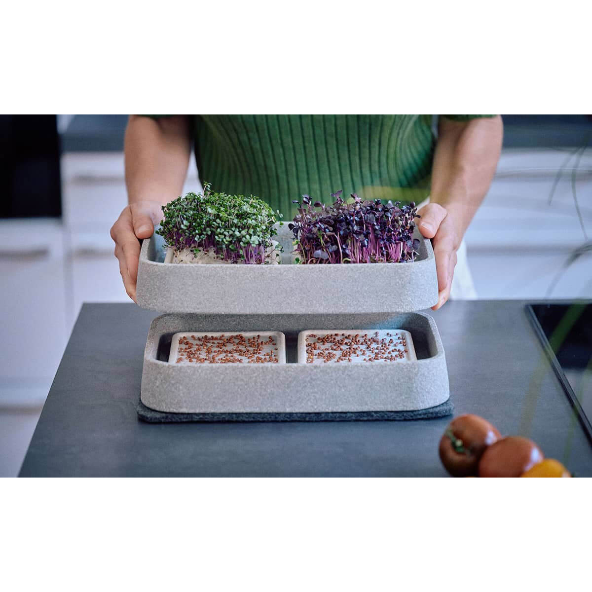 Eine Person hebt ein Tablett mit Mikrogrüns aus dem Mikrogarten XL-Set Granicium von Denk Keramik in einer modernen Küche.
